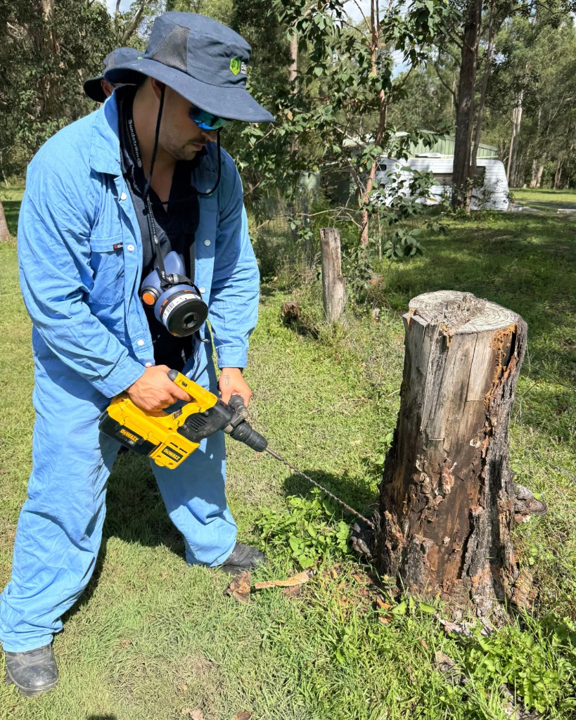 Pest technician drilling timber during practical training