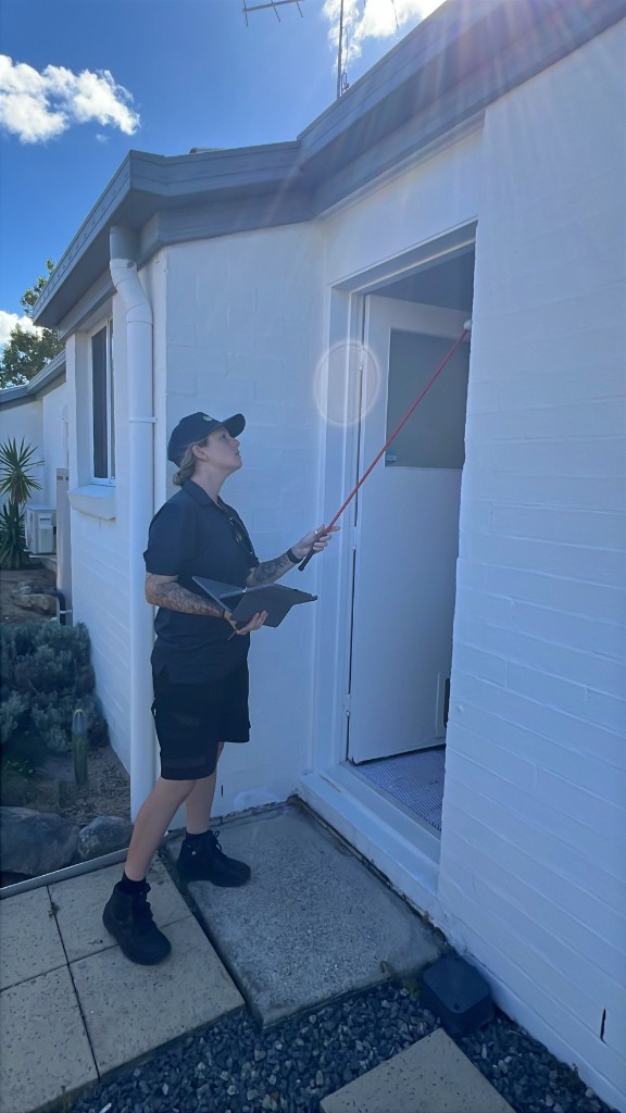 Is Pest Control Dangerous? What You Need to Know Before Starting a Career