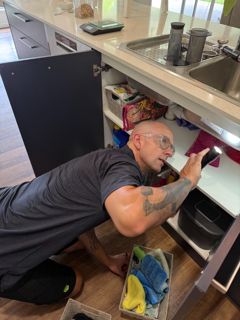 Technician inspecting for pests