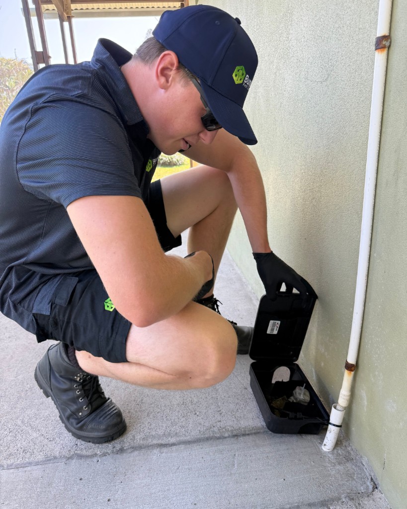 Technician inspecting a rodent bait station on a residential job site