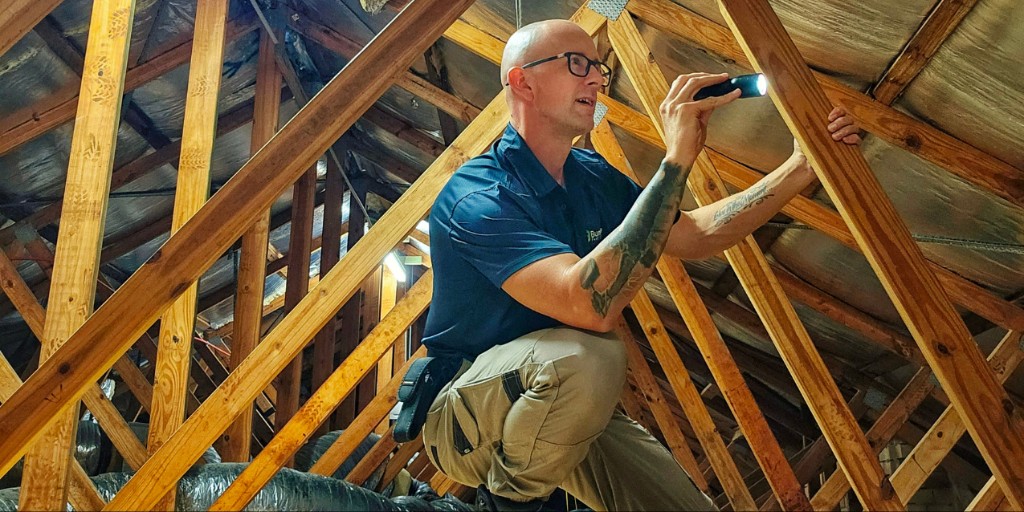 Pest control technician inspecting a roof cavity during practical workplace training
